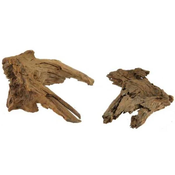 Mangrove Natural Root - L 40 tot 55 cm Hobby