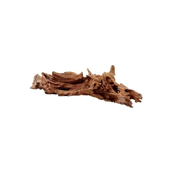 Mangrove Natural Root - M 25 tot 35 cm Hobby
