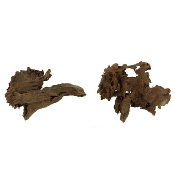 Mangrove Natural Root - XS 12 tot 15 cm hobby