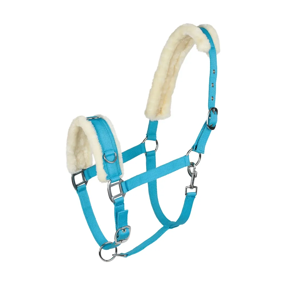 Cavesson Turquoise Blue P