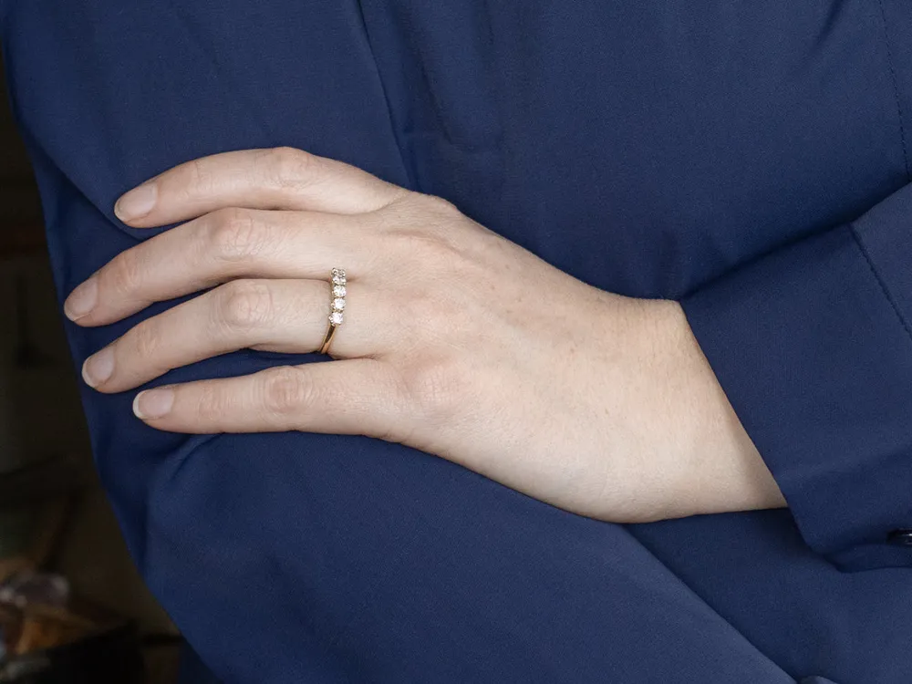 Five Stone Diamond Band met 4 Refills