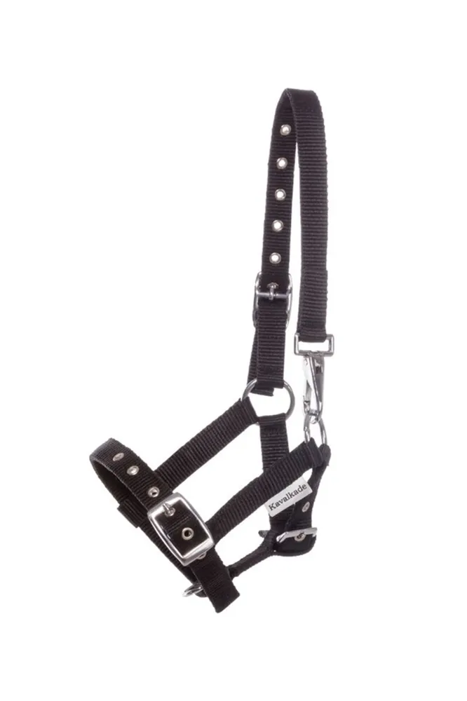 Foal & Yearling Halter Ebbenhout Yearling