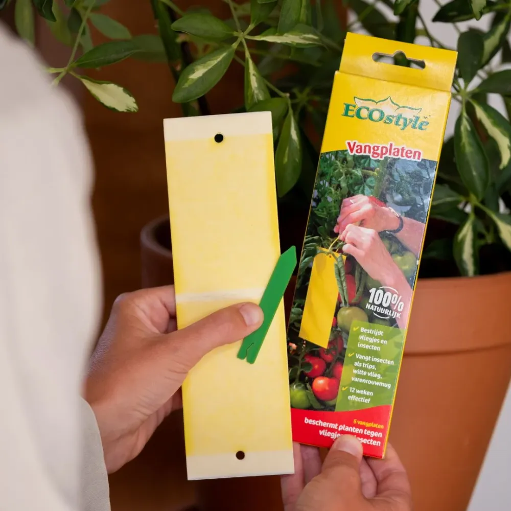 InsectFree Vangplaten