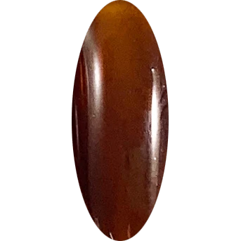 Mollen Profiles - So Gelly Tortoise