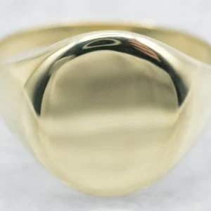 Professionele Plain Oval Signet Ring