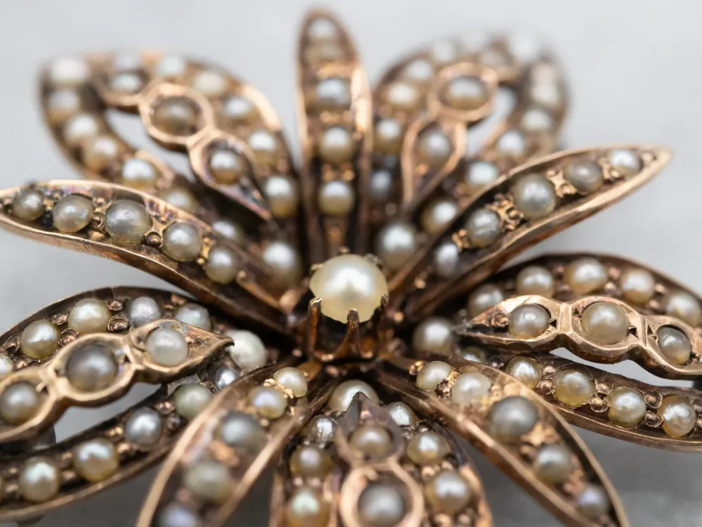 Professionele Victorian Seed Pearl Flower Pin