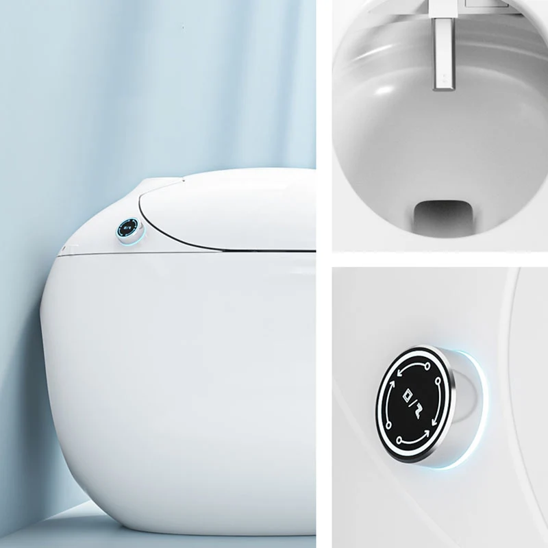 Temperature Control Floor Standing Bidet Deodorizing Toilet Knus Air Dryer