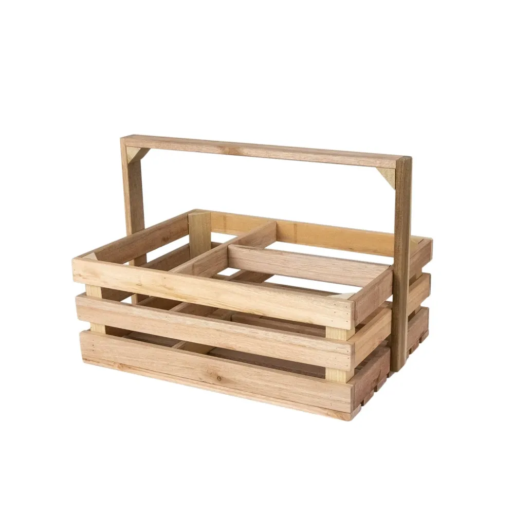 Opbergbox Pablo met handvat Furniteam