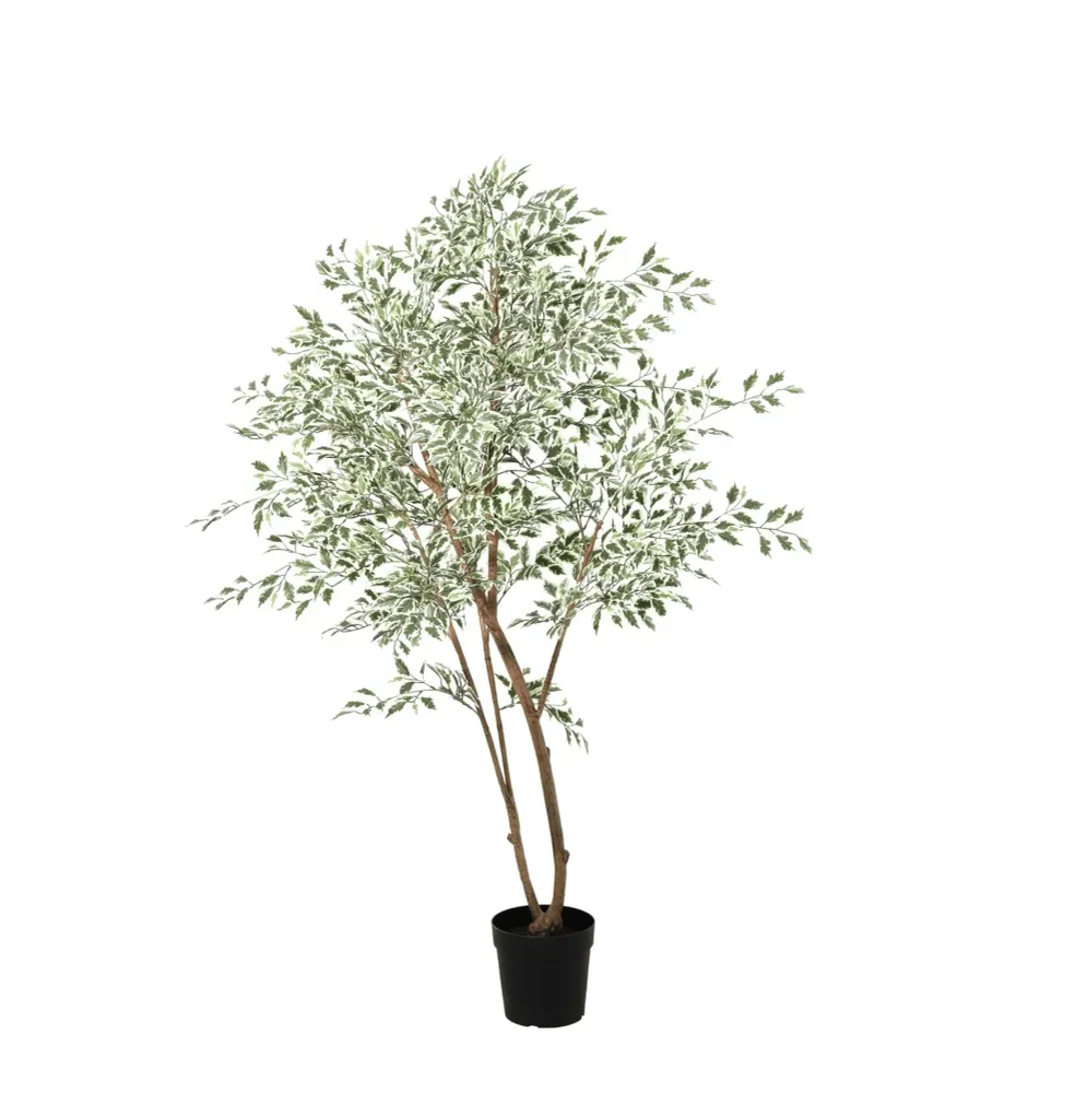 Artificial Ficus Benjamina Variegata – Luxe Kunstplant – 185 cm – Onderhoudsvrij & Elegant Everyplants