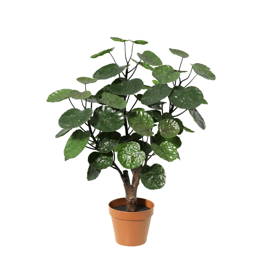 Artificial Polyscias Fabian – Compacte Kunstplant – 55 cm – Onderhoudsvrij Groen Everyplants