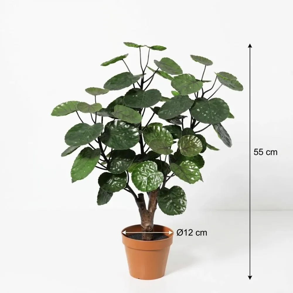 Artificial Polyscias Fabian – Compacte Kunstplant – 55 cm – Onderhoudsvrij Groen Everyplants