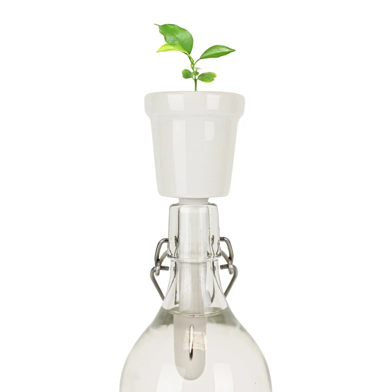 Gift Republic Botanical Bottles Kweekset - Coffee