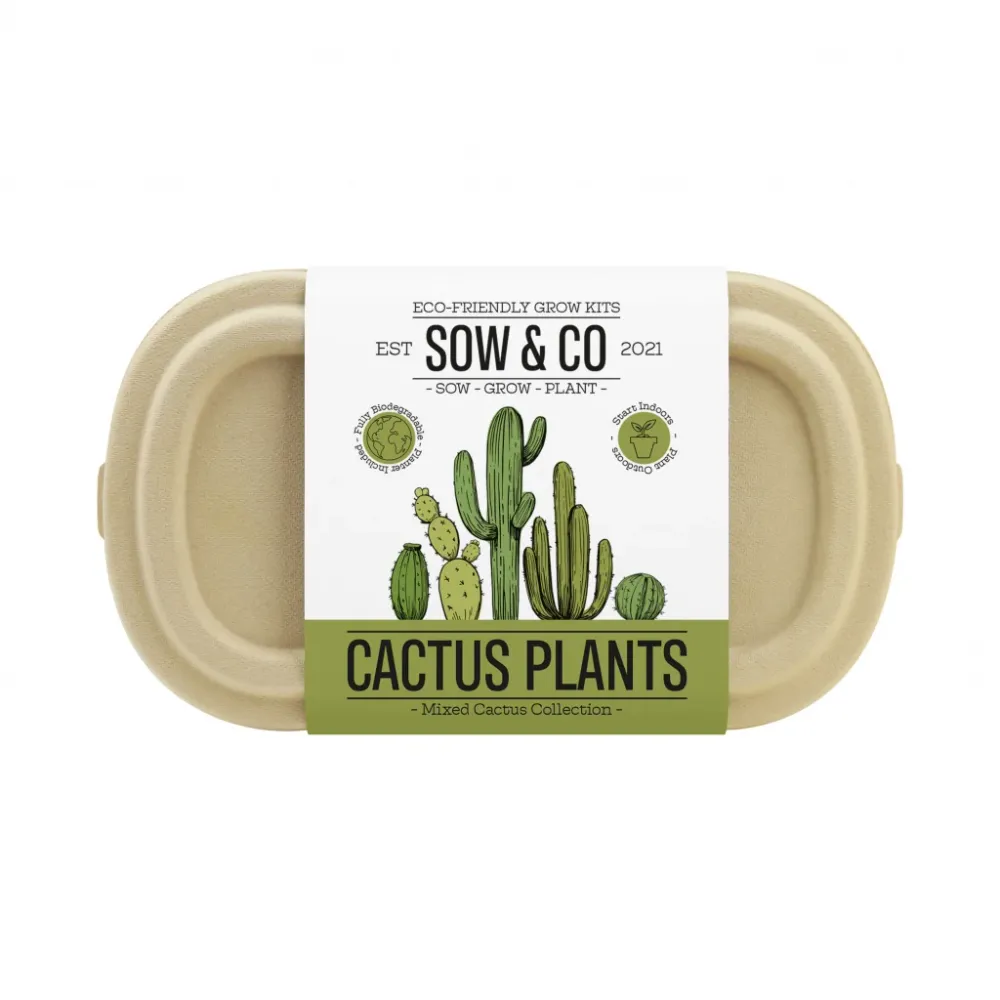 Gift Republic Sow & Co Kweekset - Cactus Plants
