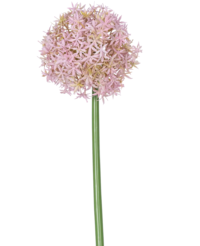 Kunstbloem Allium Groot 80 cm paars