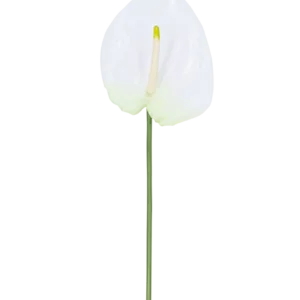 Kunstbloem Anthurium 68 cm wit