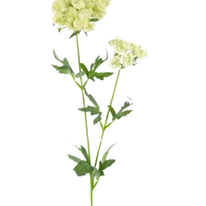 Kunstbloem Kantbloem 76 cm wit