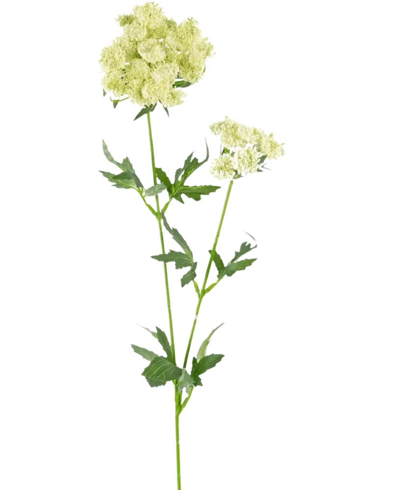 Kunstbloem Kantbloem 76 cm wit