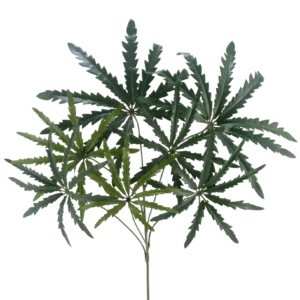 Kunsttak Ming Aralia spray 68 cm FR