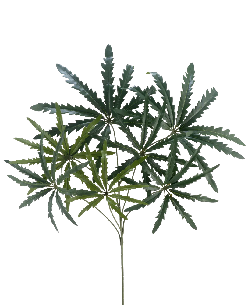 Kunsttak Ming Aralia spray 68 cm FR