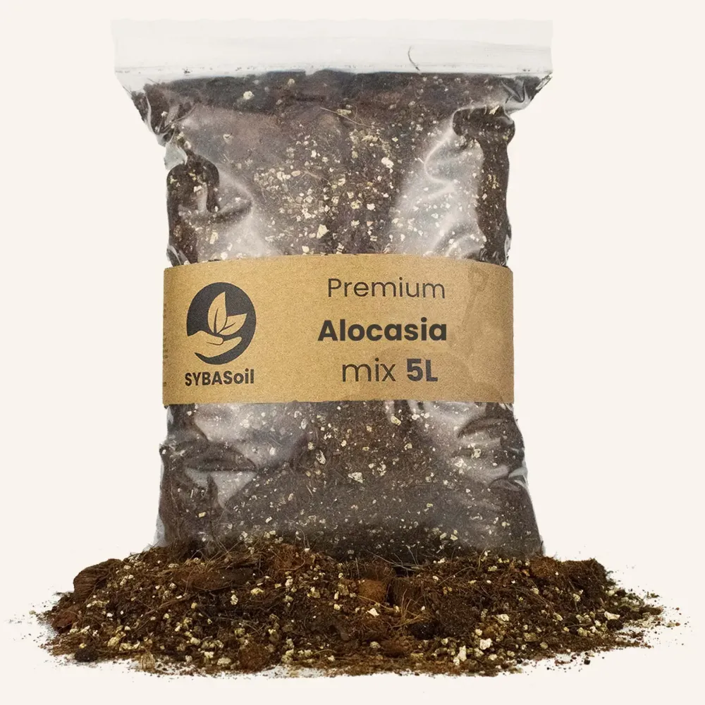 Potgrond voor Alocasia 5L De Plantrekkers