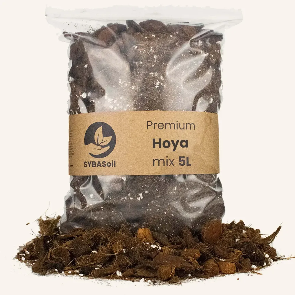 Potgrond voor Hoya 5L De Plantrekkers
