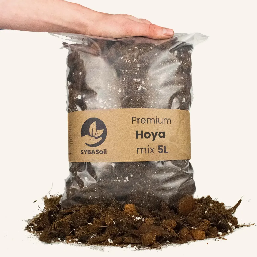 Potgrond voor Hoya 5L De Plantrekkers