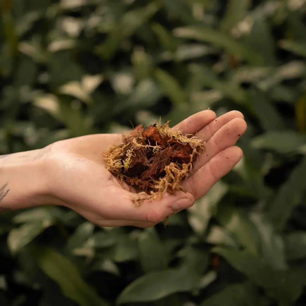 Potgrond voor orchideeën 5L De Plantrekkers