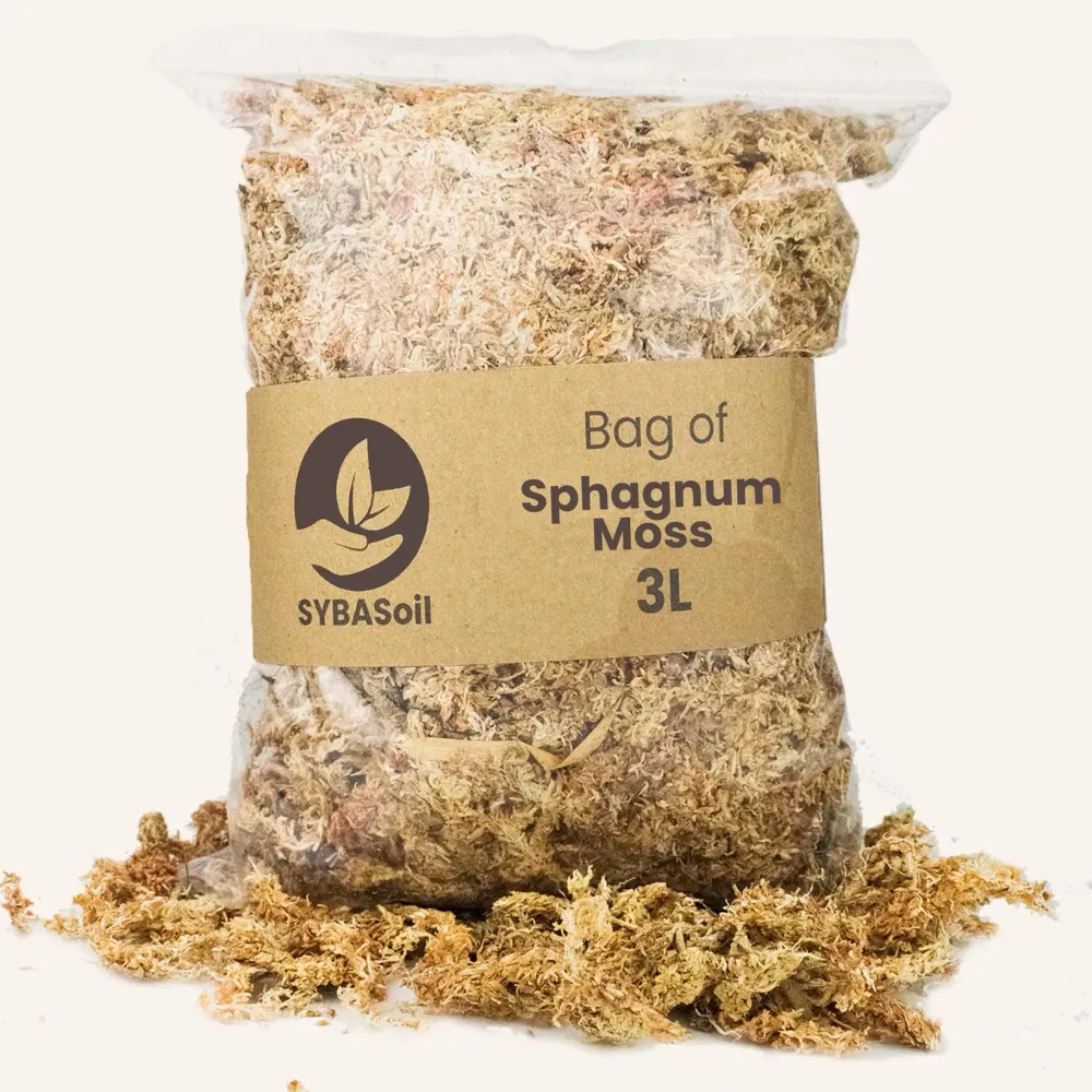 Sphagnum moss (veenmos) De Plantrekkers