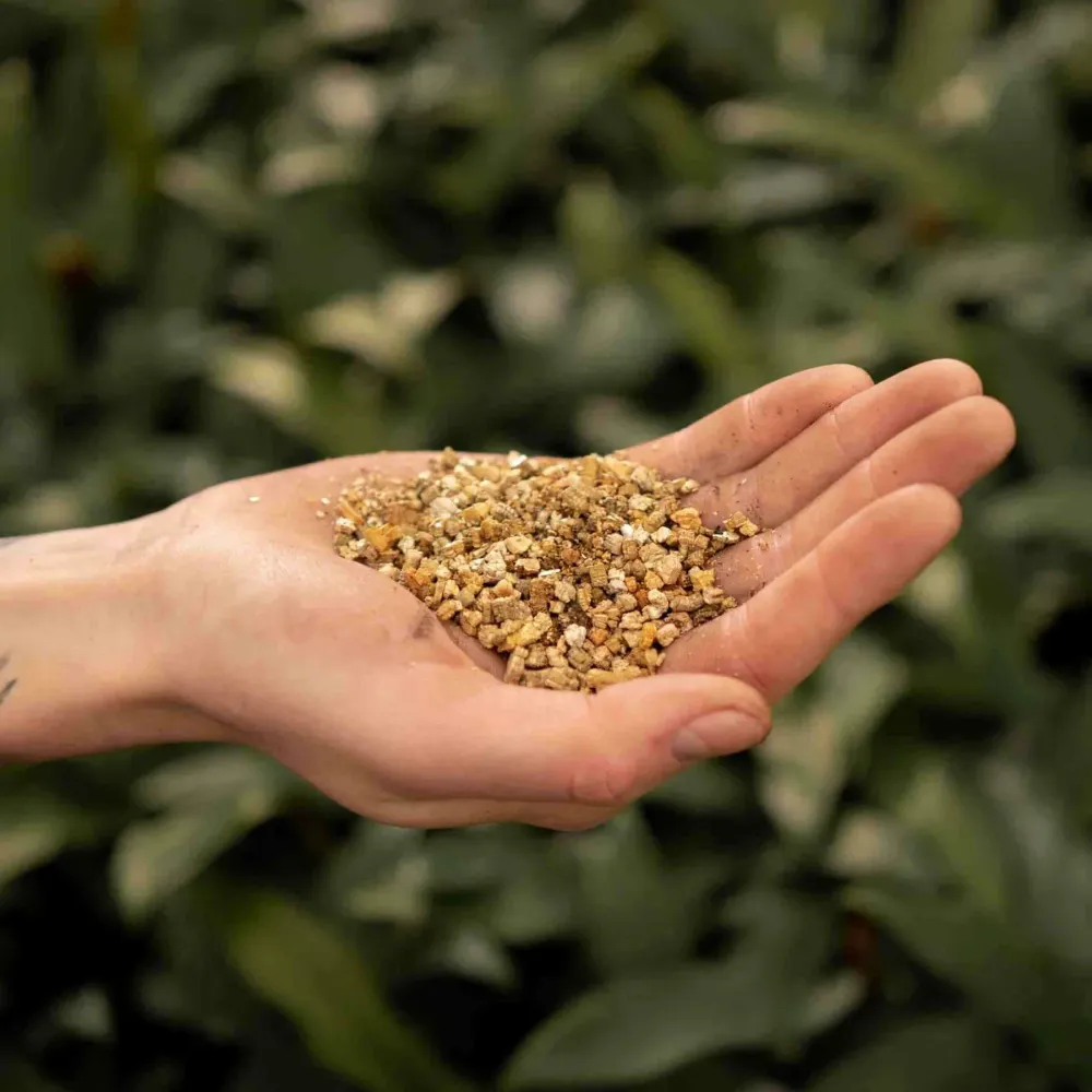Vermiculite 3L De Plantrekkers