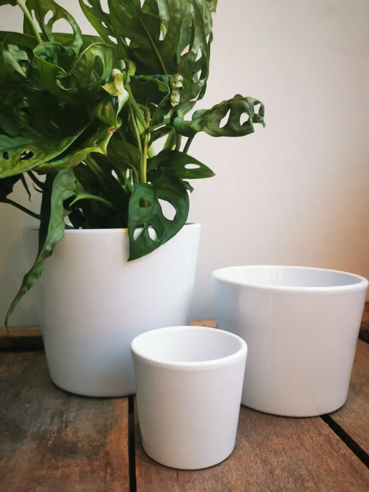 Glanzend witte pot met schuine kant De Plantrekkers