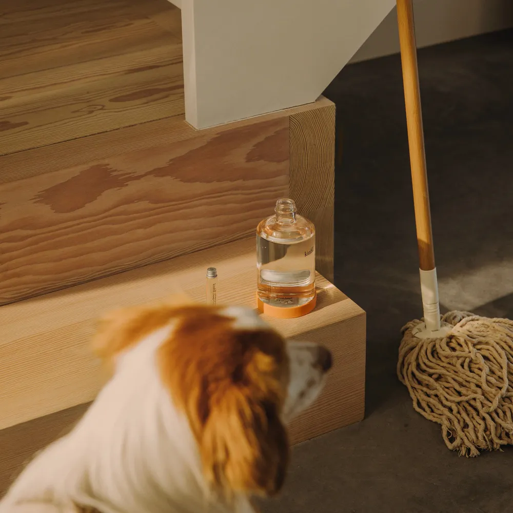 Starter kit Floor Cleaner - vloerreiniger Kinfill