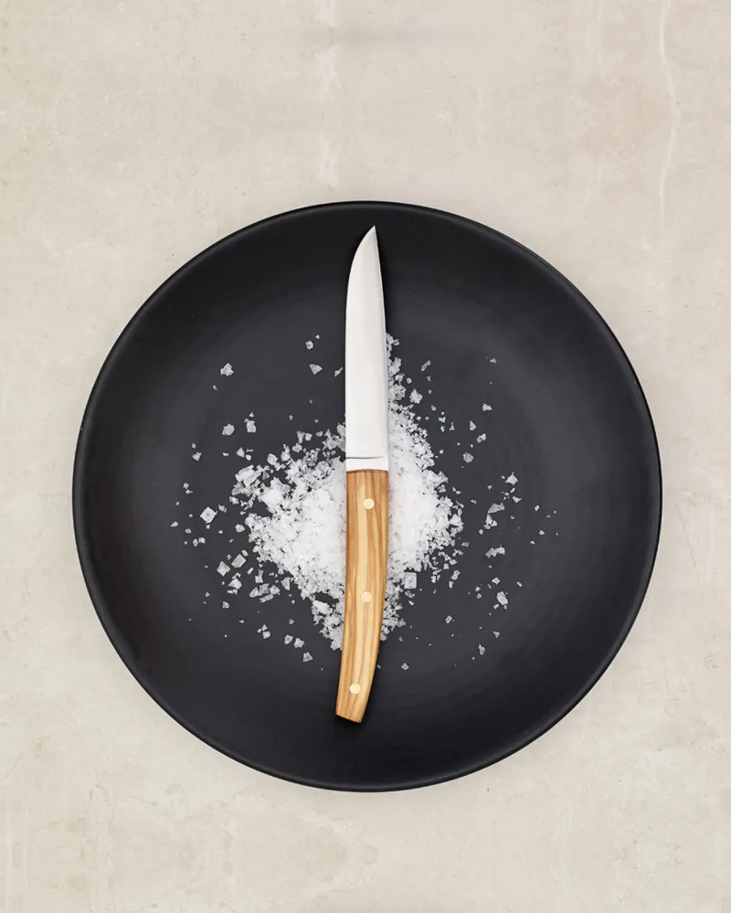 Set van 4 Lisbon Olive Tree steakmessen ICEL