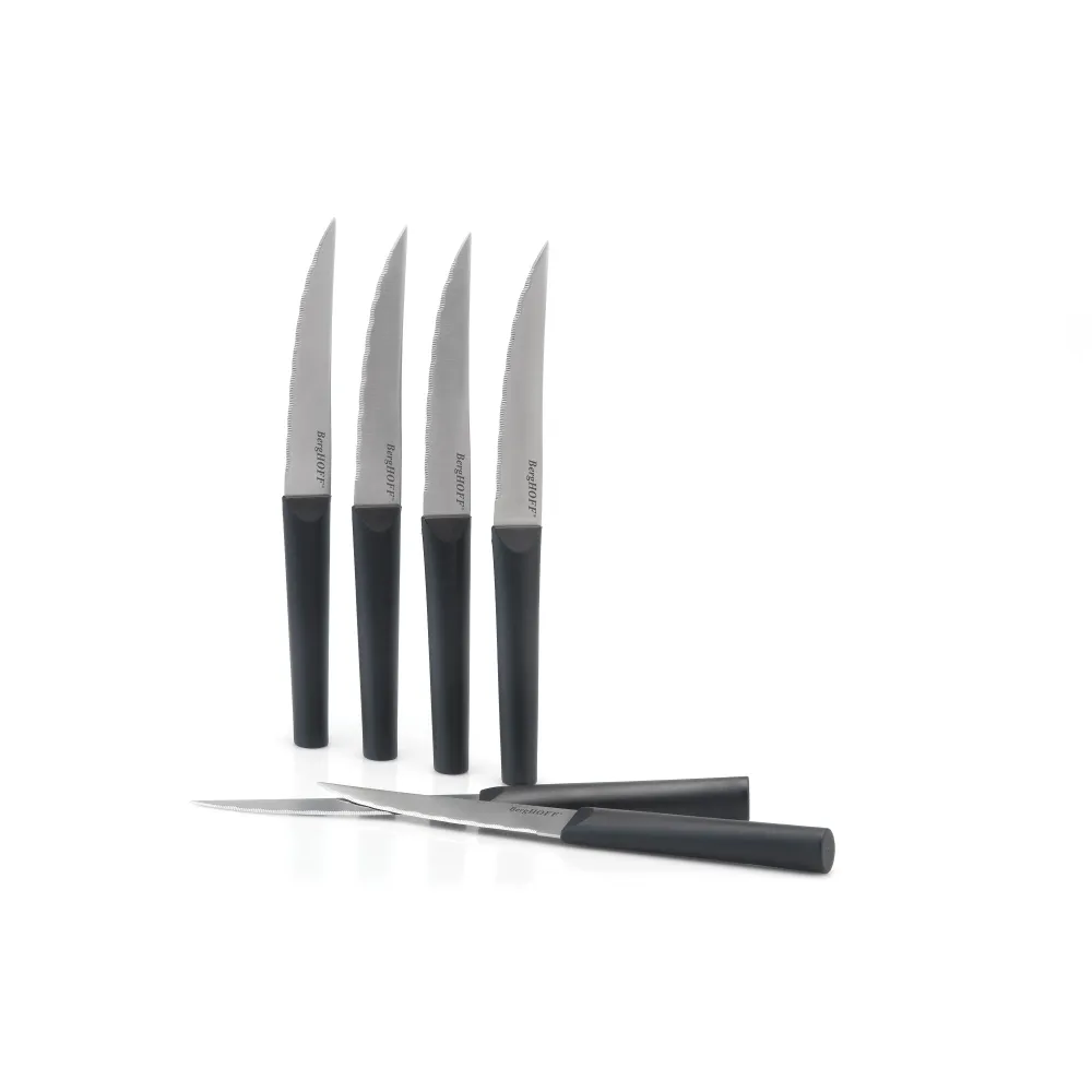 DiNA 6-delige steakmessenset Matrix