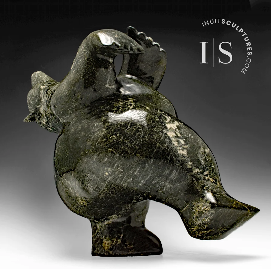 ANTIEKSTIJL 22" Classic Full Arching Back Dancing Bear Masterpiece Nuna Parr *Beryl*