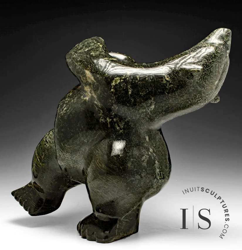 ANTIEKSTIJL 22" Classic Full Arching Back Dancing Bear Masterpiece Nuna Parr *Beryl*