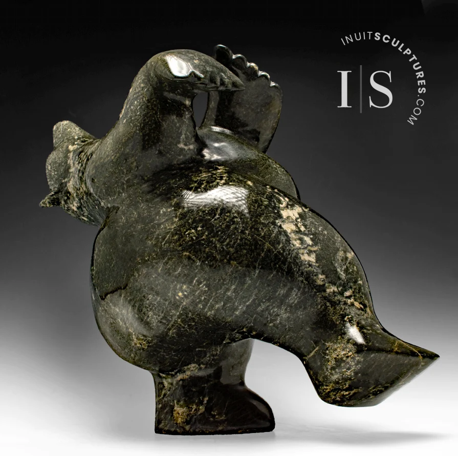 ANTIEKSTIJL 22" Classic Full Arching Back Dancing Bear Masterpiece Nuna Parr *Beryl*