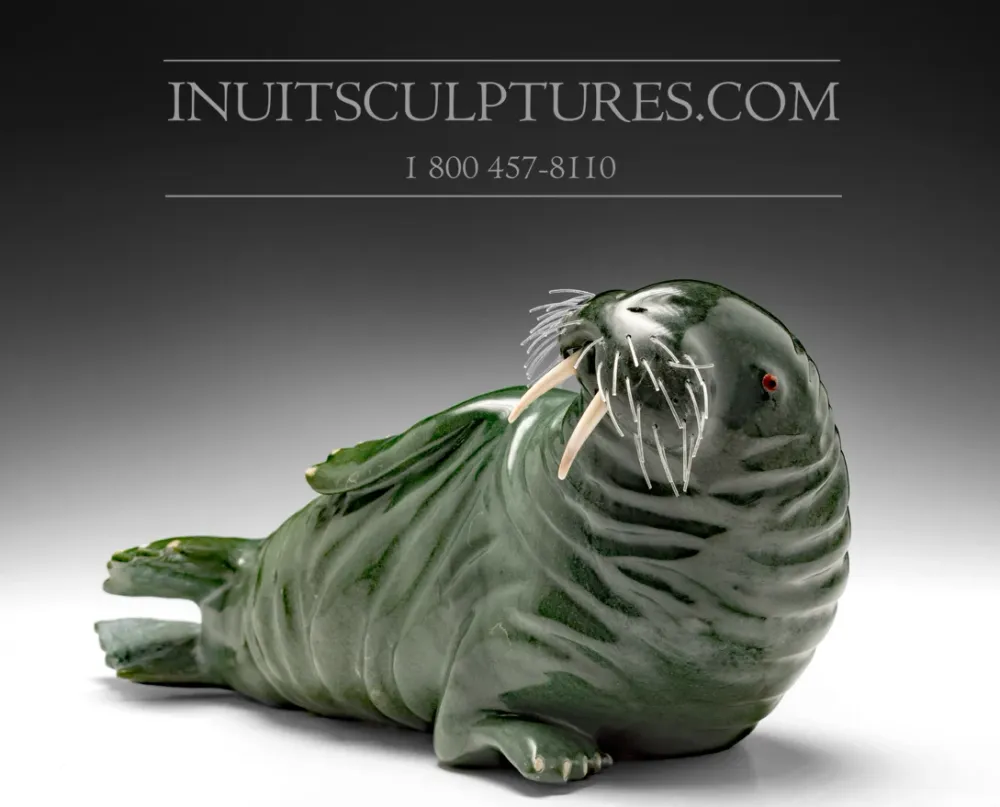 12" Dark Mosgroen Basking Walrus Famous Jimmy Iqaluq