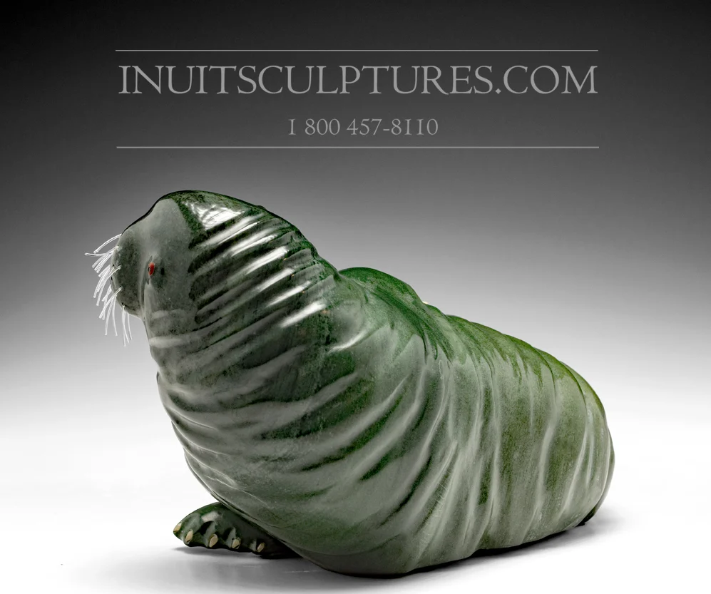 12" Dark Mosgroen Basking Walrus Famous Jimmy Iqaluq