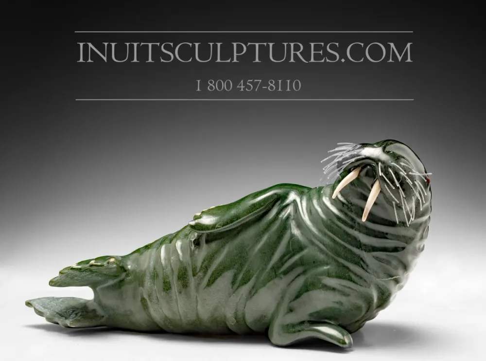 12" Dark Mosgroen Basking Walrus Famous Jimmy Iqaluq
