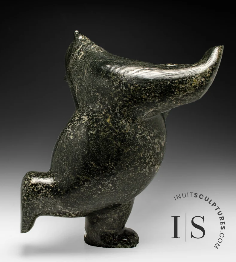 17" SIGNATURE Dancing Bear Ashevak *Who Me?!* CURATOR'S CHOICE