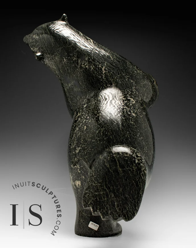 17" SIGNATURE Dancing Bear Ashevak *Who Me?!* CURATOR'S CHOICE