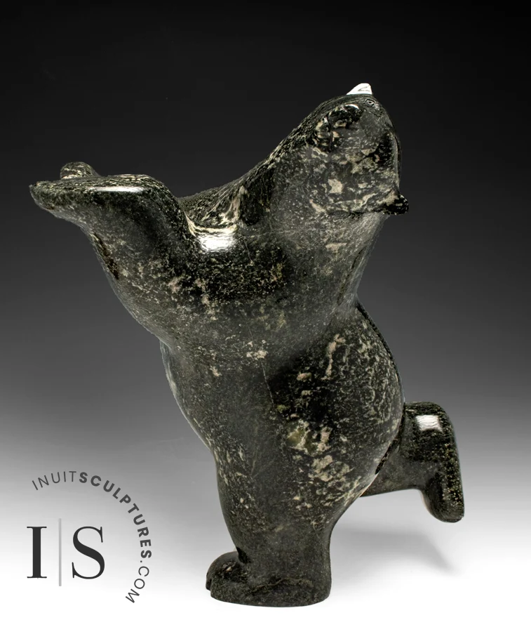 17" SIGNATURE Dancing Bear Ashevak *Who Me?!* CURATOR'S CHOICE