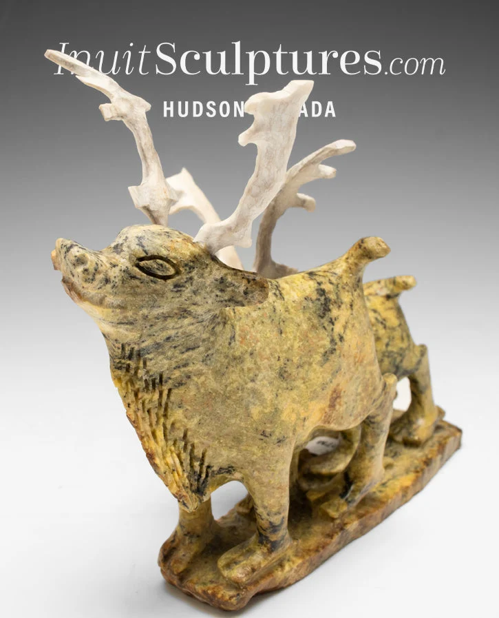 VINTAGE 9" SIGNATURE Caribou Pavinak Petaulassie *Tundra Love* CURATOR'S CHOICE