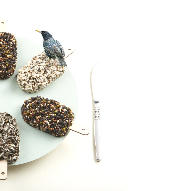 studio carmela bogman - dessert birds - mixed temptation