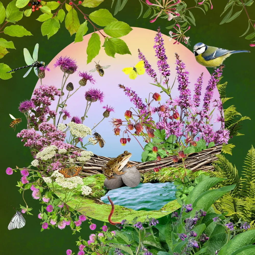 Boost de biodiversiteit Sprinklr planten