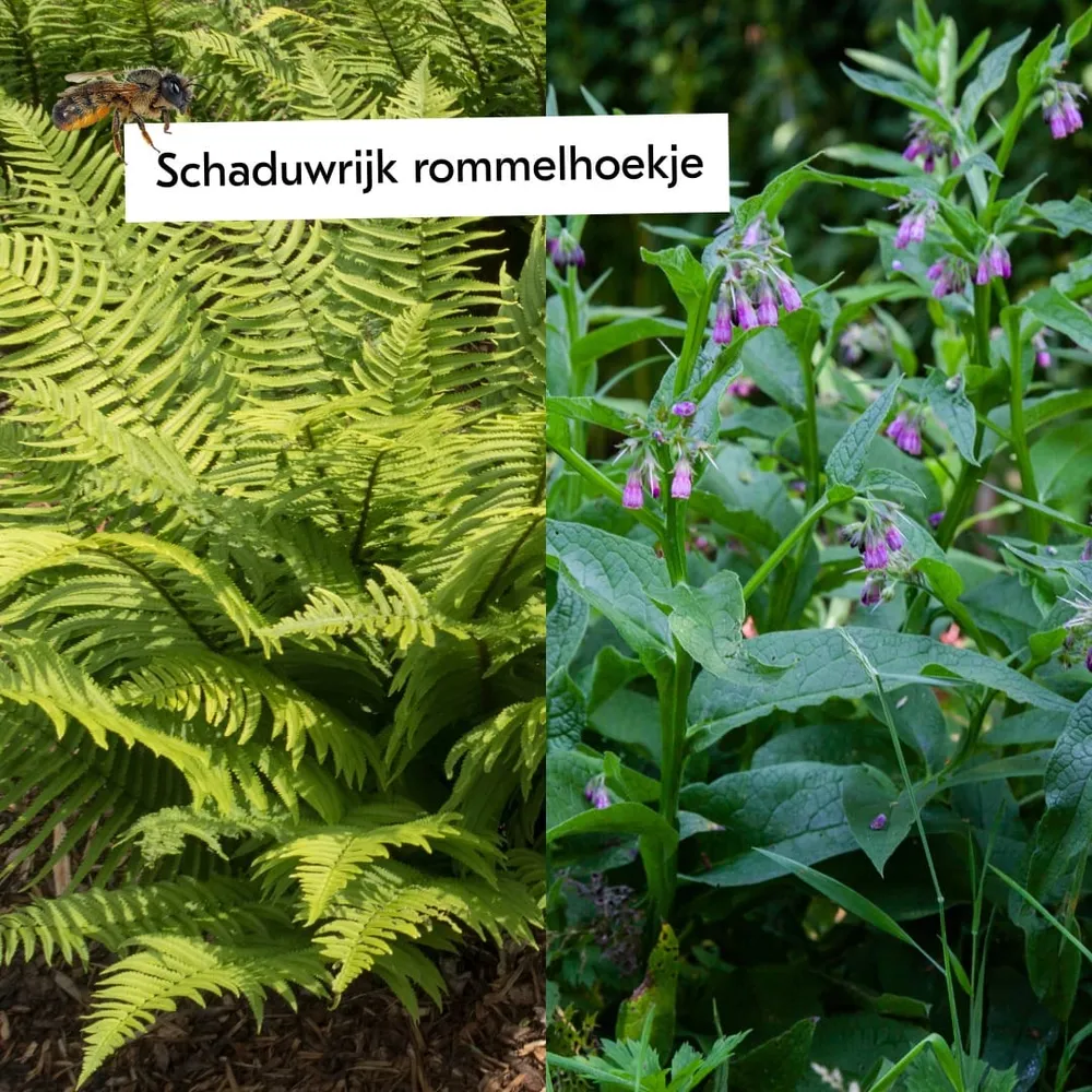 Boost de biodiversiteit Sprinklr planten