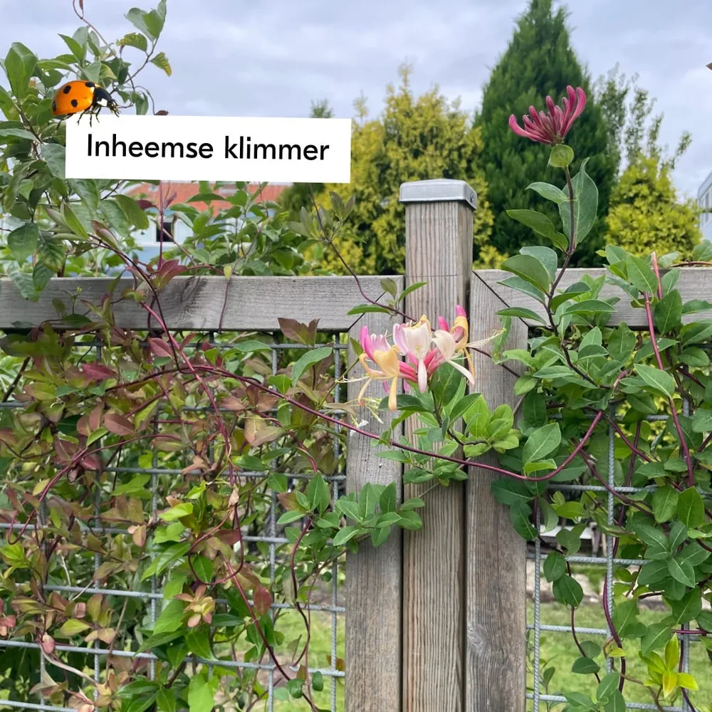 Boost de biodiversiteit Sprinklr planten