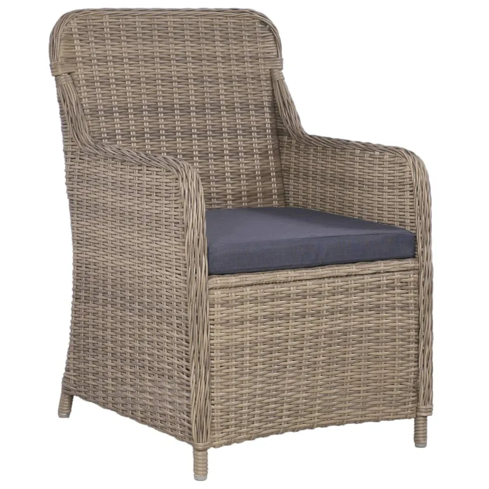 Klap- 9-delige Tuinset poly rattan bruin