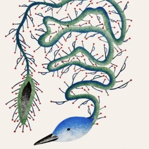 2014 TINGLING BIRD Qavavau Manumie Eenvoudig Schoon Te Maken