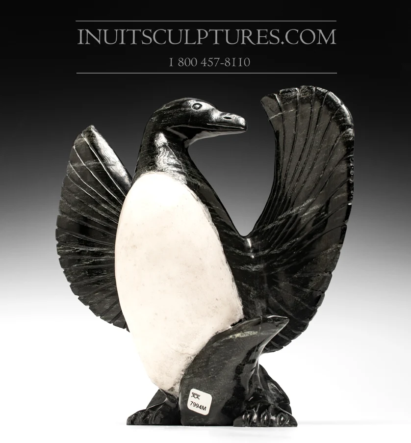Eco-vriendelijk 13" Murre Bird Kellypalik Etidlooie
